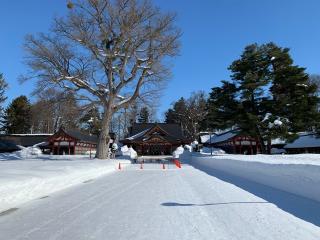 北海道護國神社の参拝記録(鷲ハリアーさん)