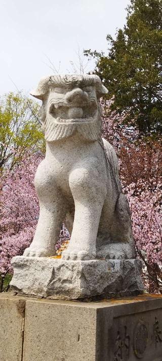 美幌神社の参拝記録(モスコットさん)