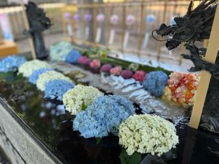 美幌神社の参拝記録(たけちゃんさん)