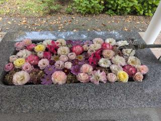 端野神社の参拝記録(ジャックさん)