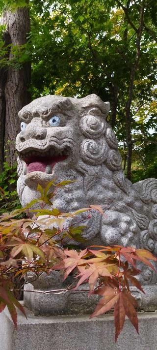 遠軽神社の参拝記録(モスコットさん)