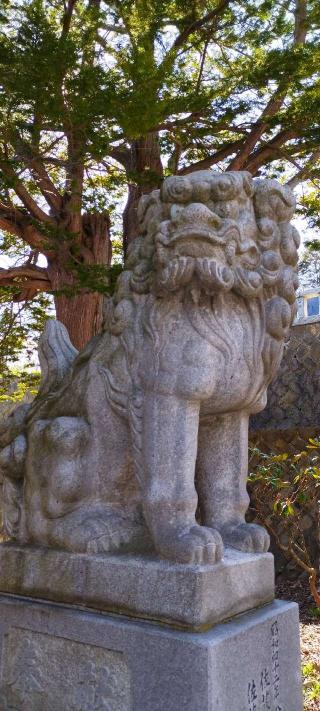厳島神社の参拝記録(モスコットさん)