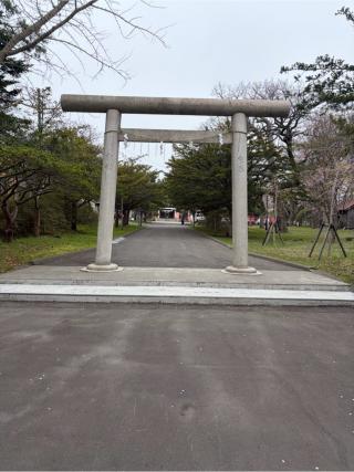中嶋神社の参拝記録(こーちんさん)