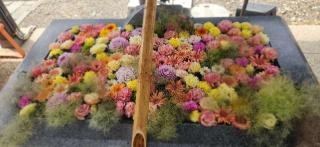 樽前山神社の参拝記録(みっちさん)
