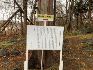 大臼山神社の参拝記録(鷲ハリアーさん)