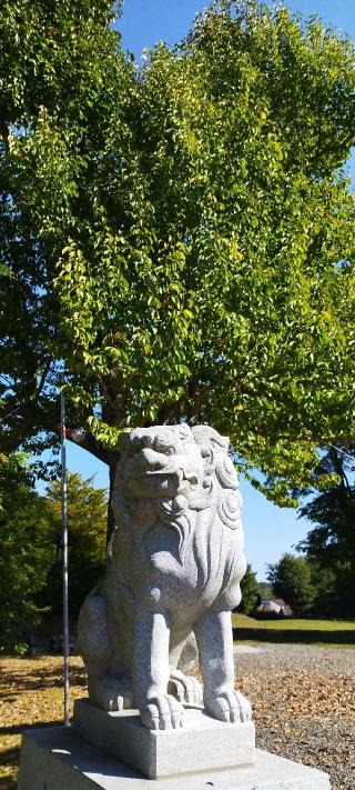 早来神社の参拝記録(モスコットさん)