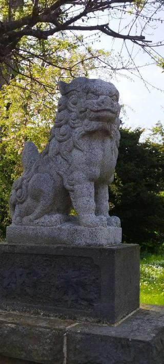 靜内神社の参拝記録(モスコットさん)