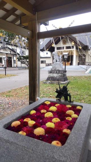 士幌神社の参拝記録(ゆみさん)