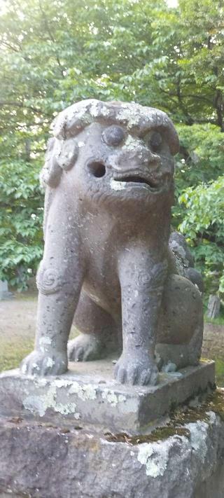 弟子屈神社の参拝記録(モスコットさん)