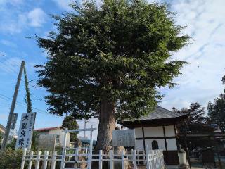 護国山 清龍寺の参拝記録(ＦÙKUさん)