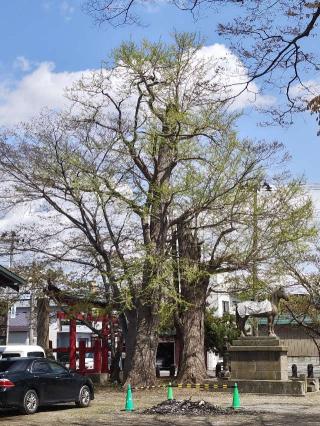鶴田八幡宮の参拝記録(かっぱくんさん)