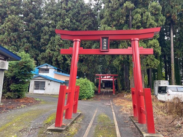 加茂神社の写真1