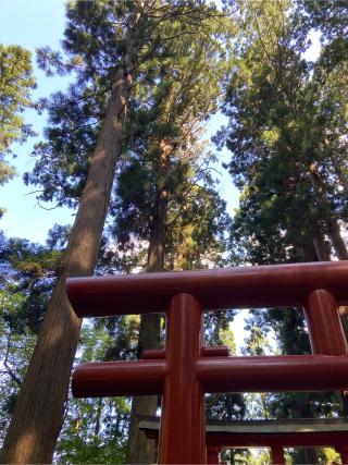 巌鬼山神社の参拝記録(さおりさん)