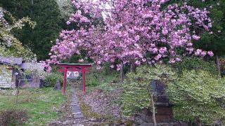 乳井神社の参拝記録(猫狂さん)