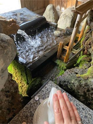 胸肩神社の参拝記録(さおりさん)