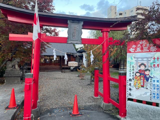胸肩神社の参拝記録3