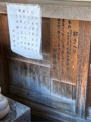 胸肩神社の参拝記録(こまめさん)