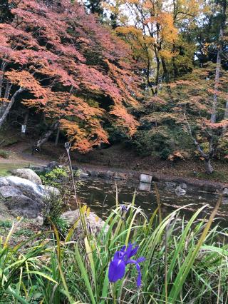 眞照寺の参拝記録(ミントさん)