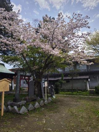 善知鳥神社の参拝記録(かっぱくんさん)