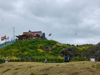 蕪嶋神社の参拝記録(みっちょんさん)