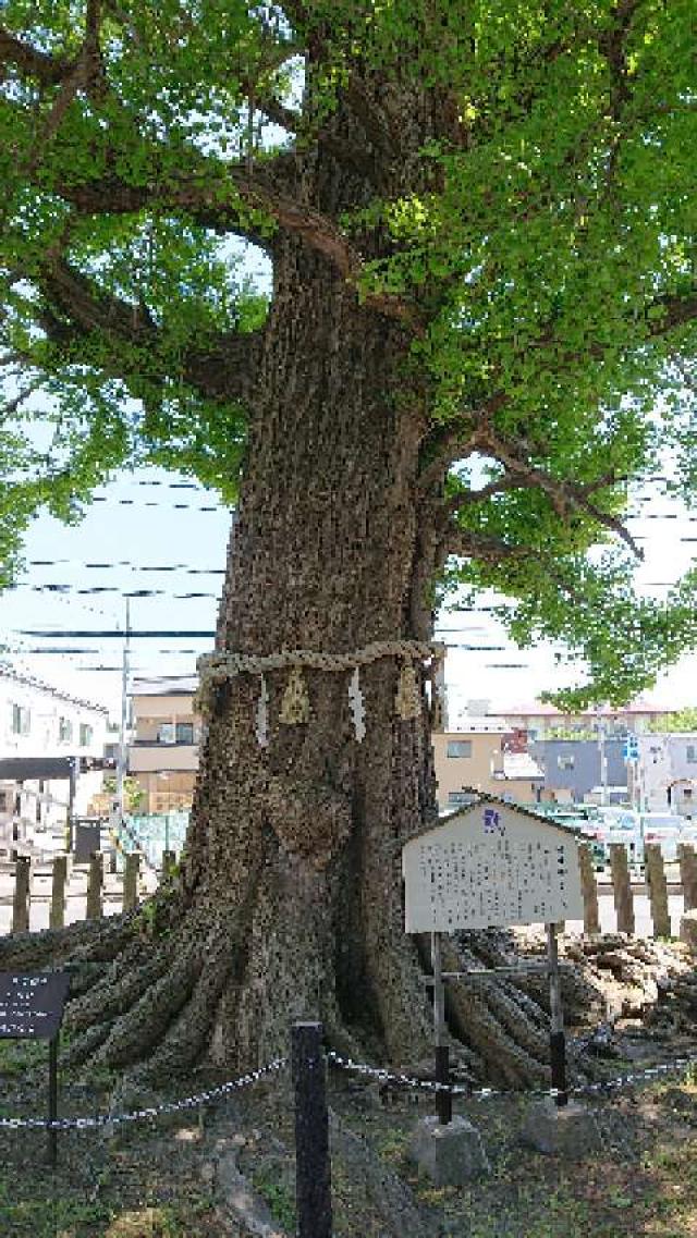 青森県八戸市廿六日町26-1 神明宮の写真2