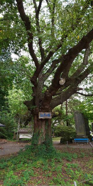 長者山新羅神社の参拝記録(パスカルさん)