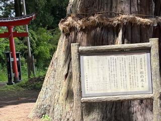 七崎神社の参拝記録(tetsuさん)