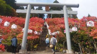 天王神社の参拝記録(Ｃ．Ｋさん)