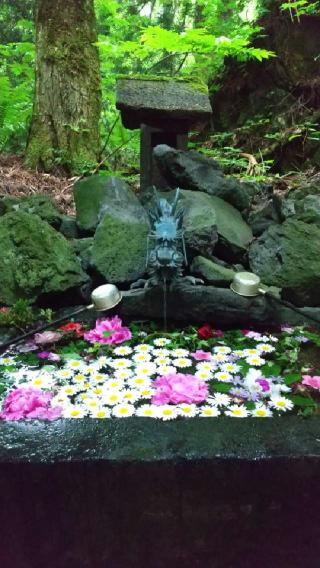 十和田神社の参拝記録(やっちゃんさん)