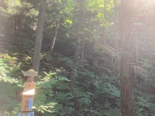十和田神社の参拝記録(田中さん)