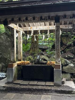 十和田神社の参拝記録(コットンさん)