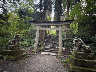 十和田神社の参拝記録(コットンさん)