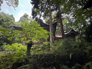 十和田神社の参拝記録(コットンさん)