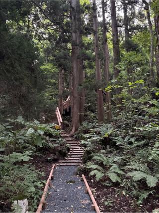 十和田神社の参拝記録(コットンさん)