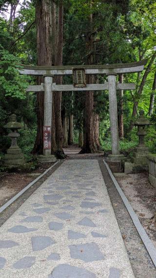 十和田神社の参拝記録(たこやきさん)
