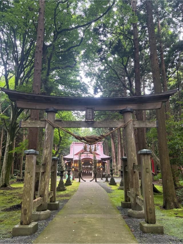 青森県上北郡横浜町字茅平1 八幡神社の写真2