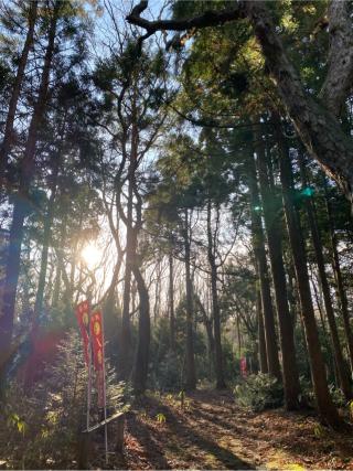 八幡神社の参拝記録(こにさん)