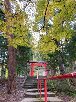 中野神社の参拝記録(さおりさん)