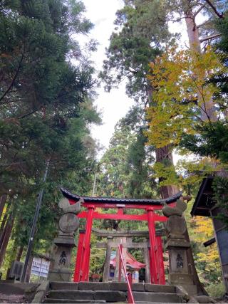 中野神社の参拝記録(さおりさん)