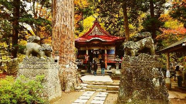 中野神社の参拝記録9