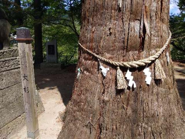 青森県黒石市南中野字不動舘27番地 中野神社の写真4