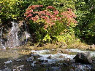 中野神社の参拝記録(こまめさん)