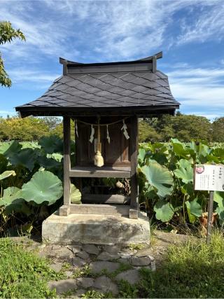 猿賀神社の参拝記録(コットンさん)