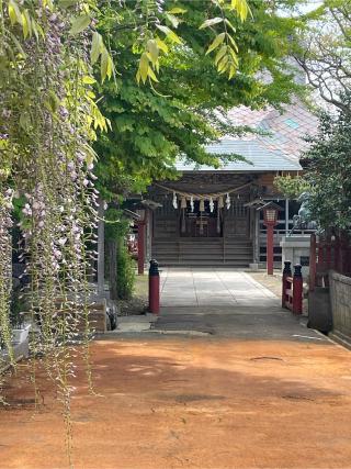 舞戸正八幡宮の参拝記録(ピンポンさん)