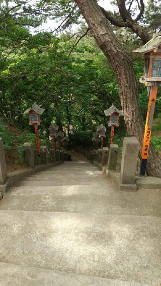高山稲荷神社の参拝記録(やっちゃんさん)