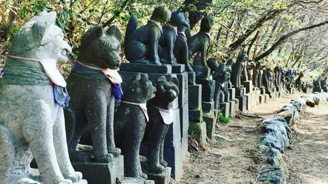 青森県つがる市牛潟町鷲野沢147−1 高山稲荷神社の写真5