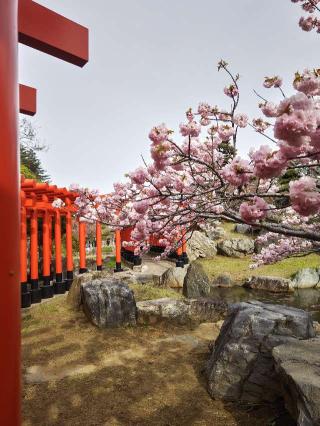 高山稲荷神社の参拝記録(かっぱくんさん)