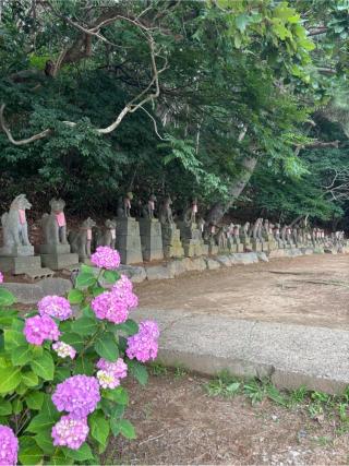 高山稲荷神社の参拝記録(おさちさん)