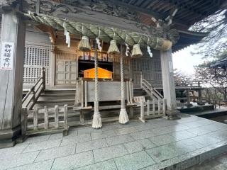 高山稲荷神社の参拝記録(色々カピバラさん)