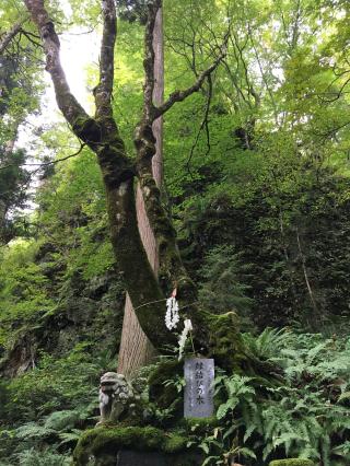 櫻松神社の参拝記録(きよぽんさん)